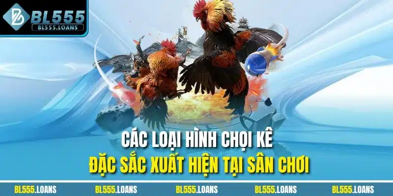 Các loại hình chọi kê đặc sắc xuất hiện tại sân chơi