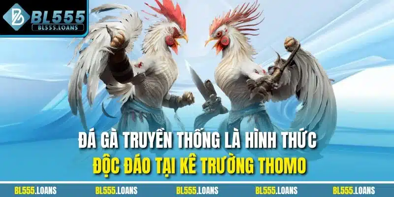 Đá gà truyền thống là hình thức độc đáo tại kê trường Thomo