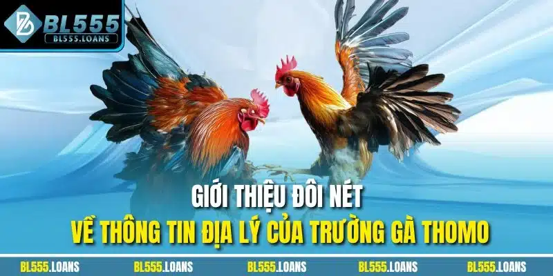 Giới thiệu đôi nét về thông tin địa lý của trường gà Thomo